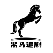 黑马追剧电脑版官方下载