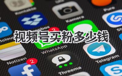 视频号买粉多少钱