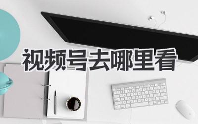 视频号去哪里看