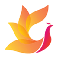 花和影视TV电视版windows客户端