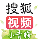 搜狐视频客户端电脑版app安装