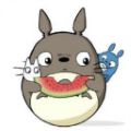 龙猫追剧最新版2020版下载