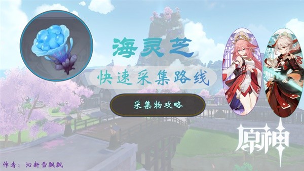 原神海灵芝采集路线2024 最新4.4.版本海灵芝收集位置一栏