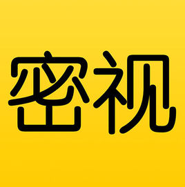 密视pc端旧版本
